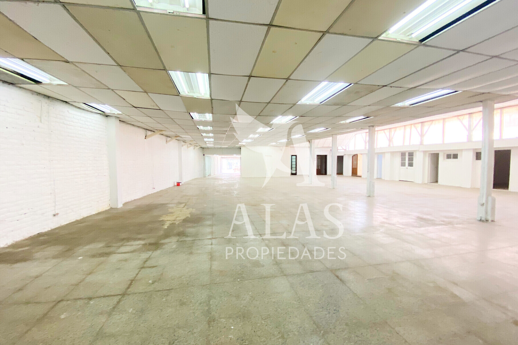 Local Comercial Patronato - ALAS PROPIEDADES
